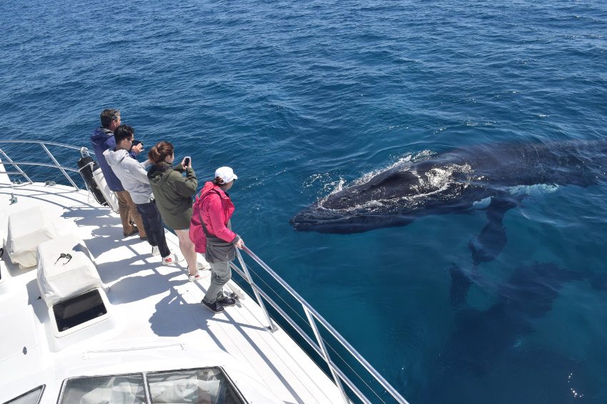 Busselton Jetty Chalets Adventures - Hideaway Group