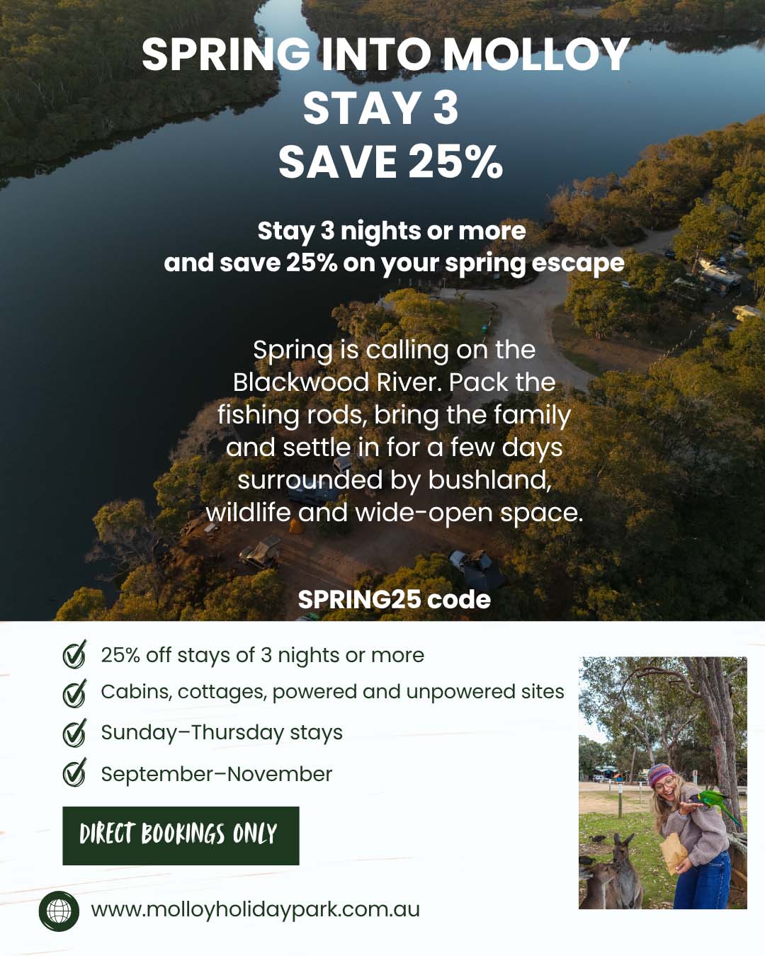 Spring into MOLLOY Stay 3